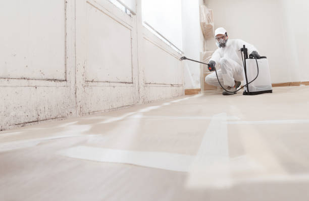 24/7 Emergency Mold Testing experts in Greenville, NC