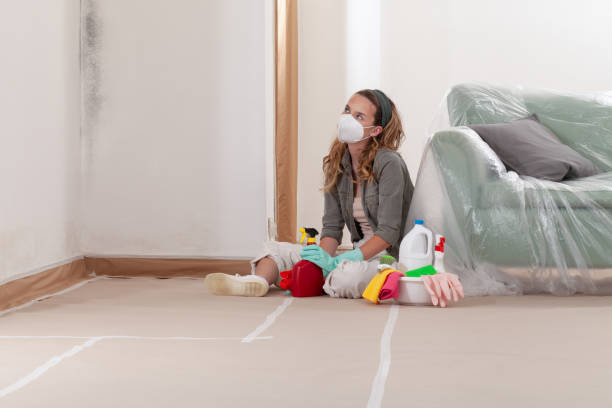 Reliable Mold Testing contractor in Greenville, NC by WQB Mold Removal